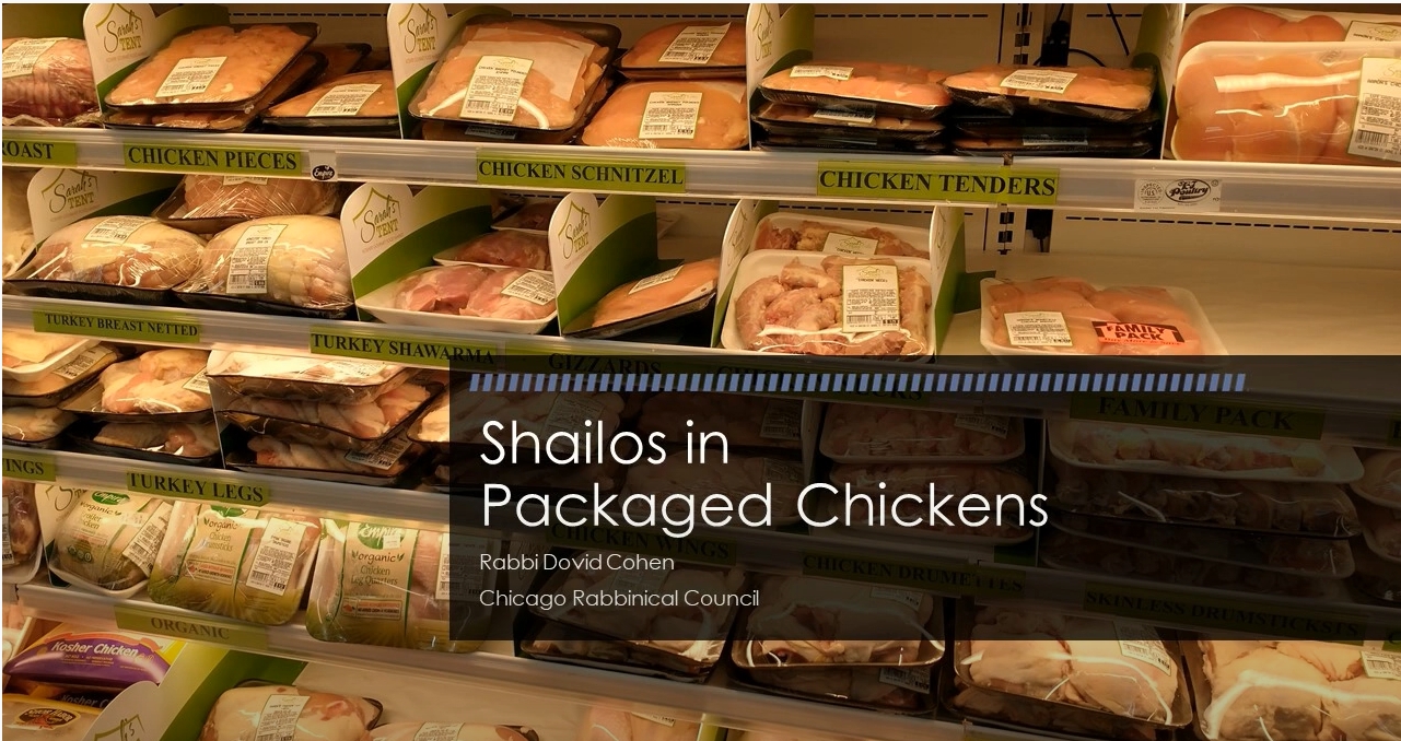Shailos in Packaged Chickens
