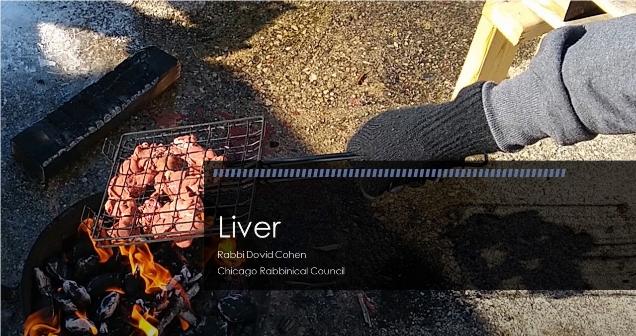 Liver (Meat and Poultry #30)