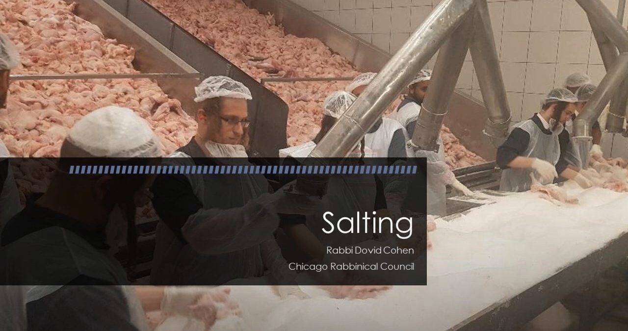 Salting (Meat and Poultry #28)